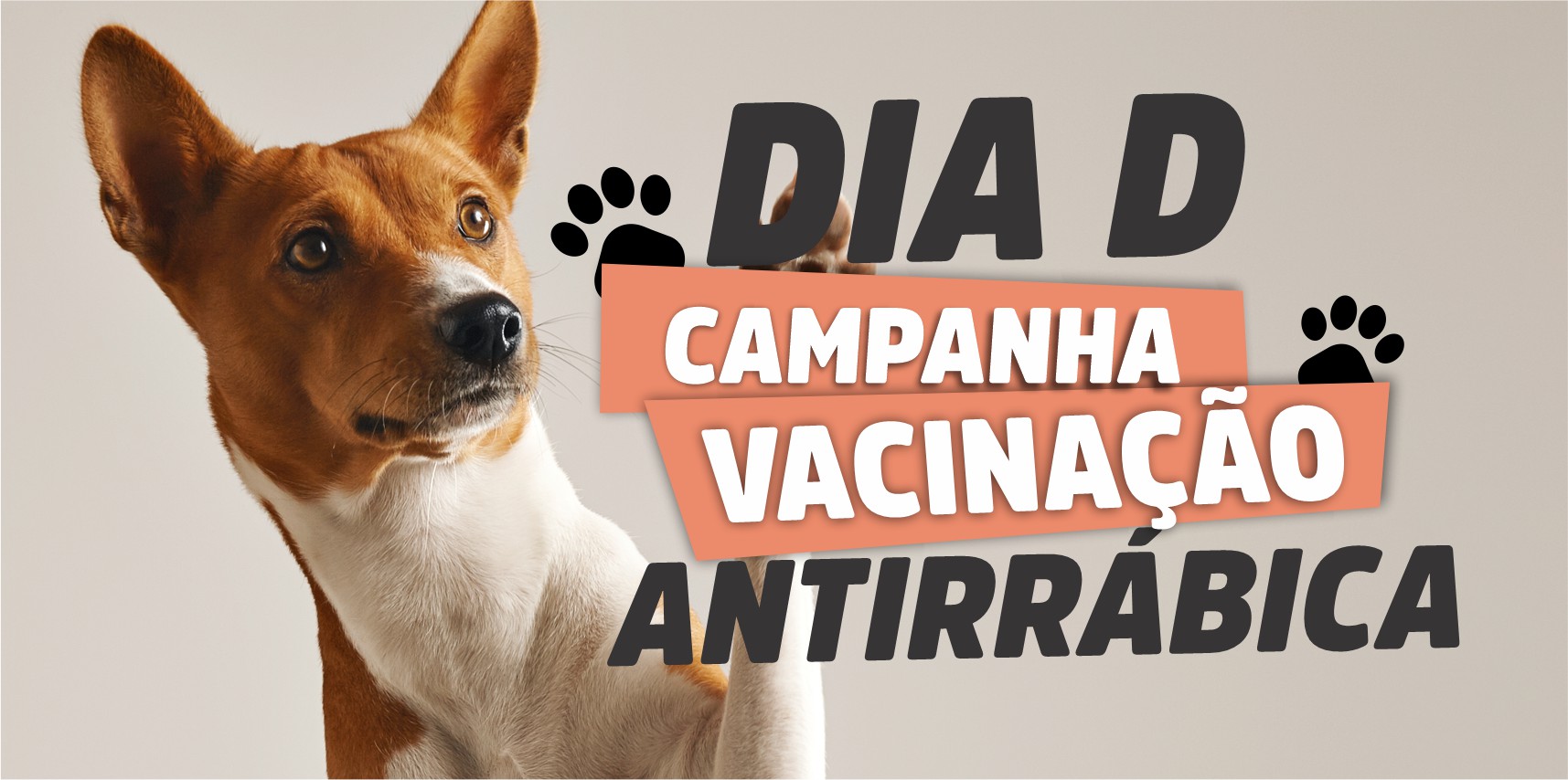 Dia “D” da Vacinação Antirrábica acontece em Vargem Alta neste sábado (07)